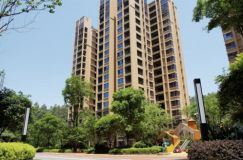 在郴州爱莲城央核心商圈,明大公园九里以 &ldquo;眼见为实&rdquo; 的生活图景,成为众多购房者的安心之选。项目一期、二期均已顺利交房,社区内烟火气十足，大批业主入住后的真实生活场景,让品质与口碑无需多言,实实在在展现在眼前。