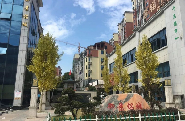 在资兴的房地产市场，御景铭城早已凭借卓越品质成为众人瞩目的焦点。从一期开盘即热销，到如今一二期均已完美交付入住，每一步都见证着项目的非凡实力与市场认可