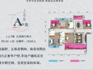 郴州-临武县上品央著为您提供A户型鉴赏