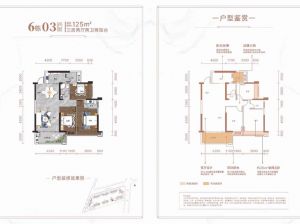 郴州-苏仙区长信爱莲首府为您提供6栋03户型鉴赏