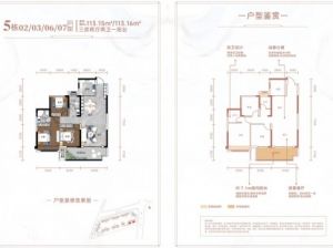 郴州-苏仙区长信爱莲首府为您提供5栋02户型鉴赏