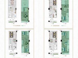 郴州-苏仙区兴康城东央商业广场为您提供LOFT公寓鉴赏